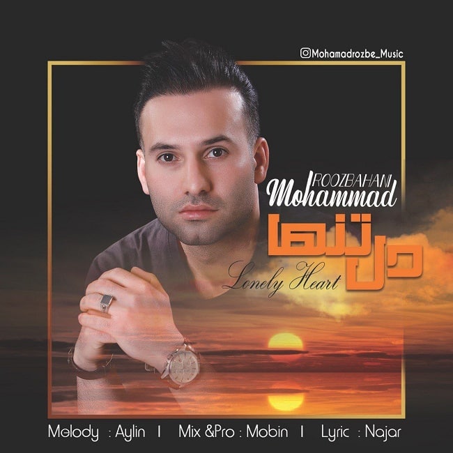 دانلود آهنگ دل تنها